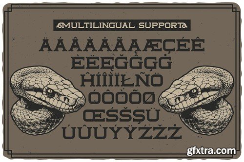 Tailface Vintage Layered Font 275LX9V