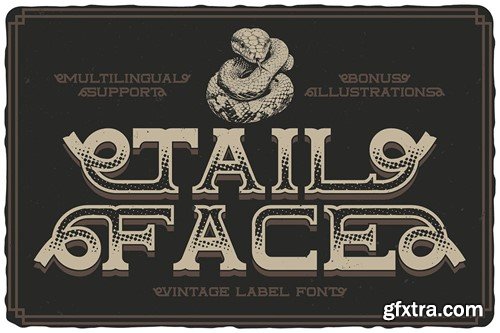 Tailface Vintage Layered Font 275LX9V