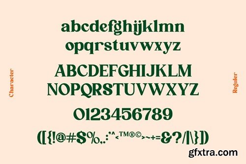 Qufego Stylish Serif Font QJPHNC7