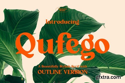 Qufego Stylish Serif Font QJPHNC7