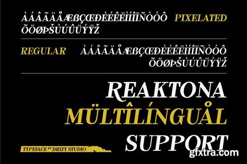 Reaktona - Pixel Slanted Serif Font 7HLMSUR