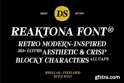 Reaktona - Pixel Slanted Serif Font 7HLMSUR