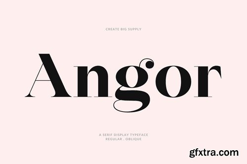 Angor Bold Serif Display Font 6L6L445