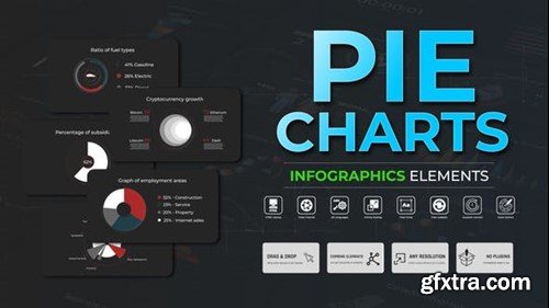 Videohive Infographic - Pie Charts 51387269