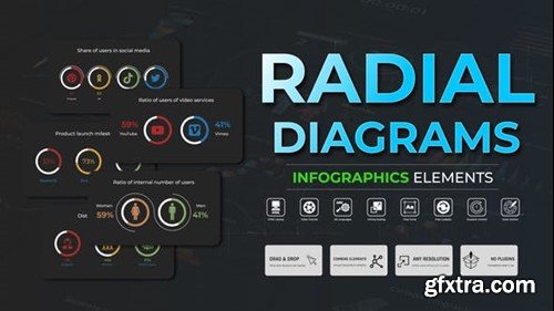 Videohive Infographic - Radial Diagrams 51389888