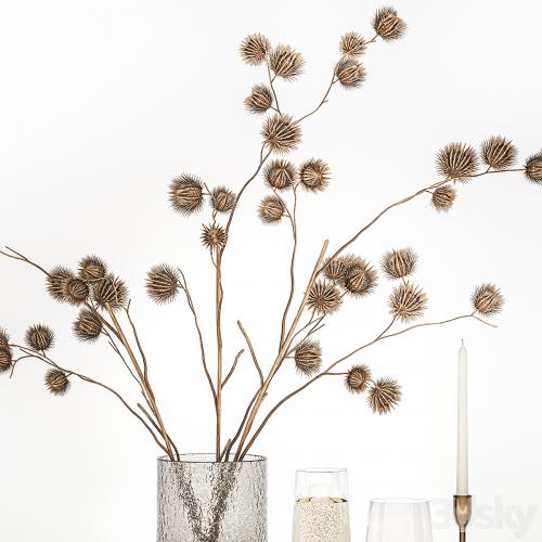 Bouquet of dried flowers from thorn branches burdock with a vase and a glass of sparkling wine. 253