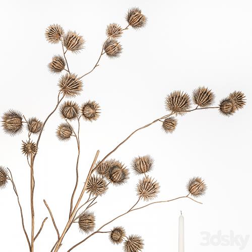 Bouquet of dried flowers from thorn branches burdock with a vase and a glass of sparkling wine. 253