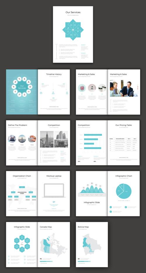 Infographic Brochure