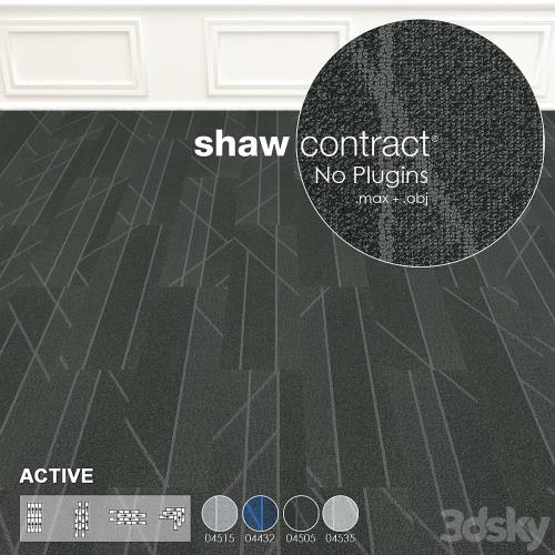 Shaw Carpet Active Wall to Wall Floor No 5