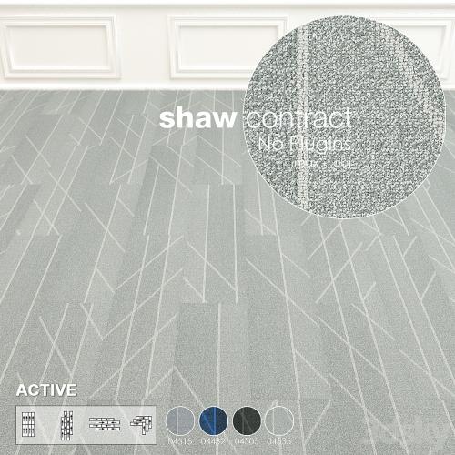 Shaw Carpet Active Wall to Wall Floor No 5