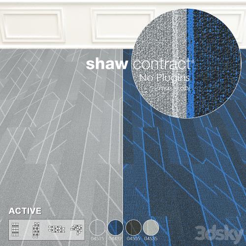 Shaw Carpet Active Wall to Wall Floor No 5