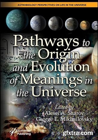 Pathways to the Origin and Evolution of Meanings in the Universe