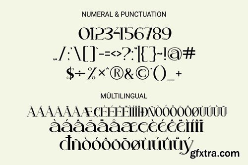 AdettaKabir - Ligature Serif Font SRN2W28