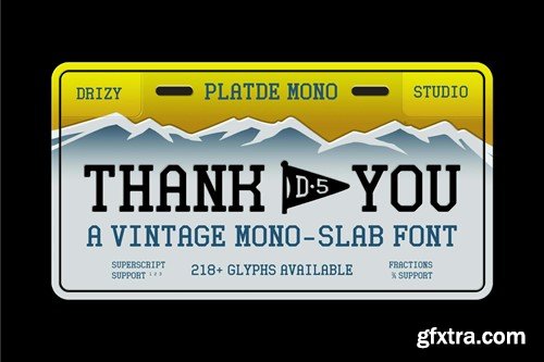 Platde - Vintage Mono Slab Font 5AARN4P