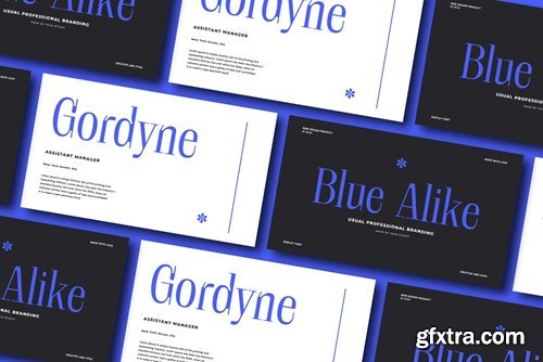 Sonytire - Classy Elegant Serif SFZS8X9