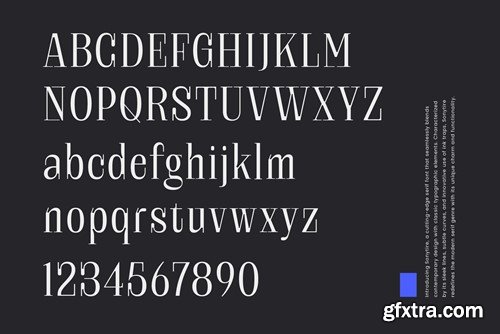 Sonytire - Classy Elegant Serif SFZS8X9