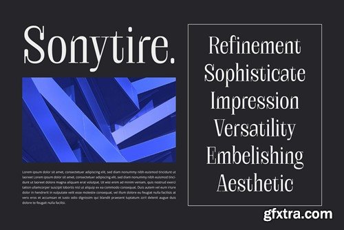 Sonytire - Classy Elegant Serif SFZS8X9