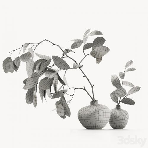 Branches in vases