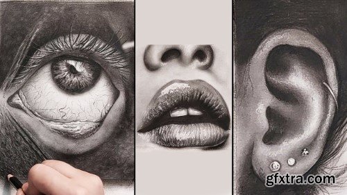 Charcoal Drawing Techniques: The Complete Drawing Course
