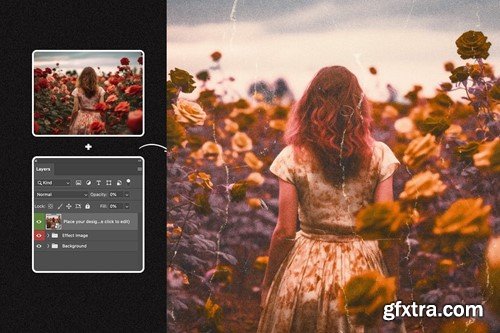 Grainy Infrared Photo Square and Poster Effect Z543SSR