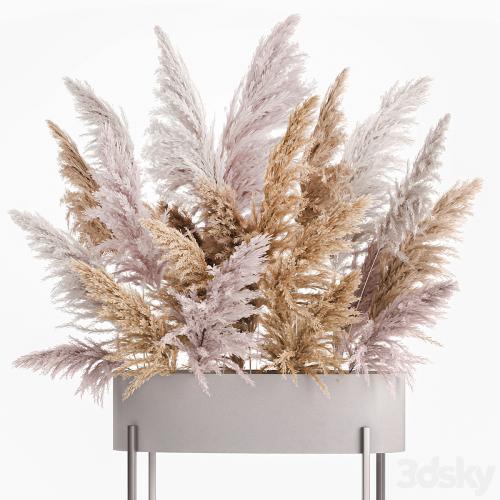 A lush bouquet of dried flowers with pink pampas grass, a vase of Cortaderia, branches. 190.