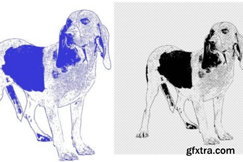 Animal Photo to Tracing