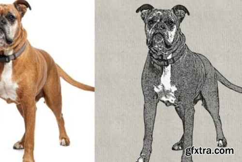 Realistic Ink Drawing Photo Effect