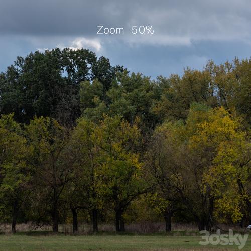 Cloudy panorama with autumn trees. 2 pcs