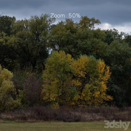 Cloudy panorama with autumn trees. 2 pcs