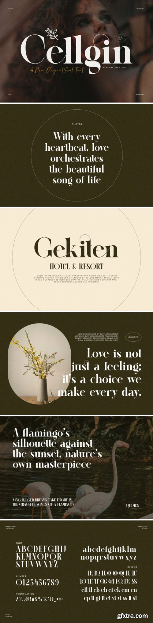 CM - Cellgin Elegant Ligature Serif Font 92434621