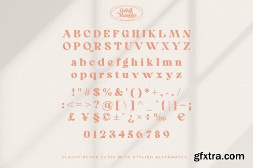 Great Mango - Stylish Serif Font XGDDZM9