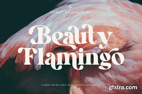 Great Mango - Stylish Serif Font XGDDZM9