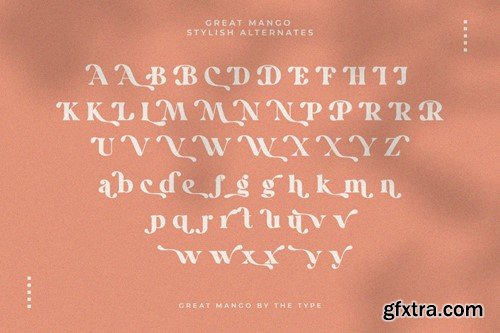 Great Mango - Stylish Serif Font XGDDZM9