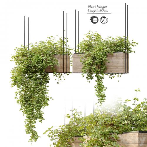 Plant hanger