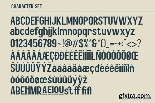 Choleric - Modern Sans Serif Font 9JHNBRQ