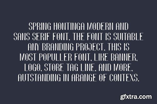 Spring Hontinga - Modern & Minimal Font RX73LQL