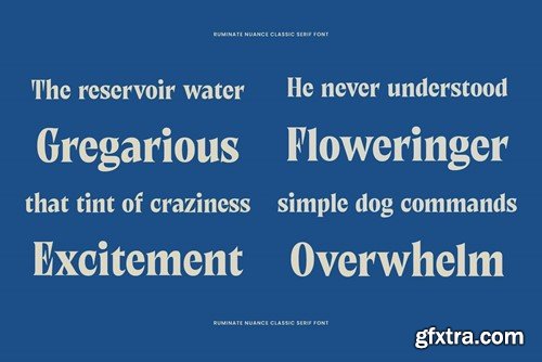 Ruminate Nuance - Classic Serif 3T8AJFG