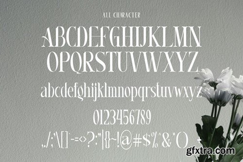 Myrahella - Modern Elegant Typeface TYWRH33