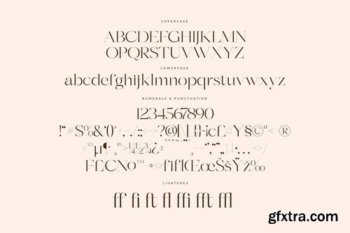 Berloja Satfline Modern Serif Font HRN8STV