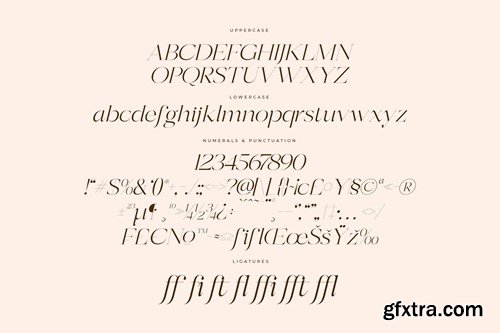 Berloja Satfline Modern Serif Font HRN8STV