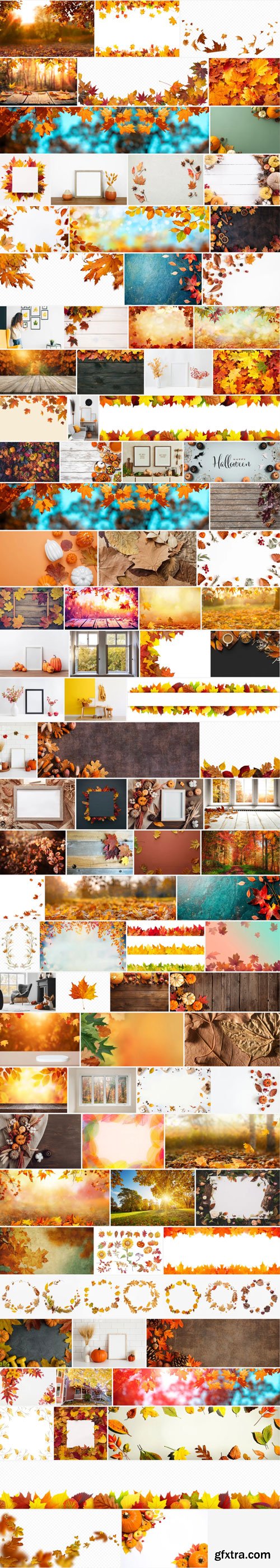 Autumn Frames 100xJPG