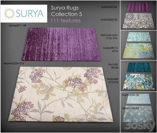 Surya rugs 5