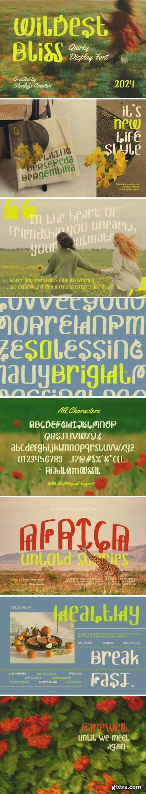 CM - Wildest Bliss - Quirky Display Font 92438099