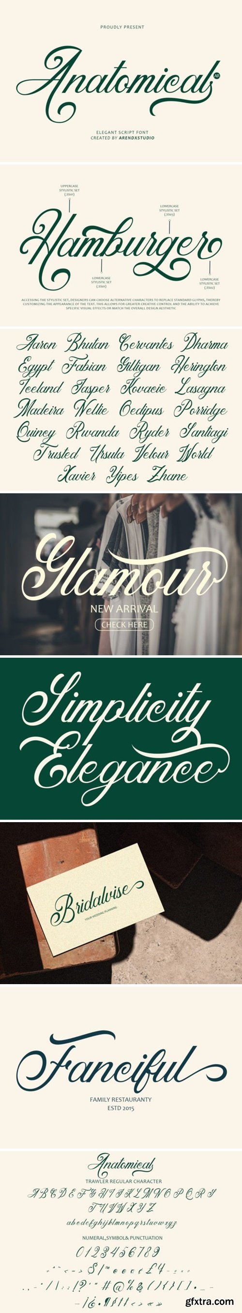 CM - Anatomical - Elegant Script Font 92451270