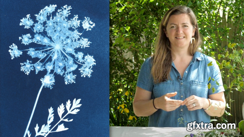 Intro to Cyanotypes: Creating Beautiful Botanical Prints with Ease