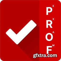 ProfExam Simulator 8.0.24087.2156