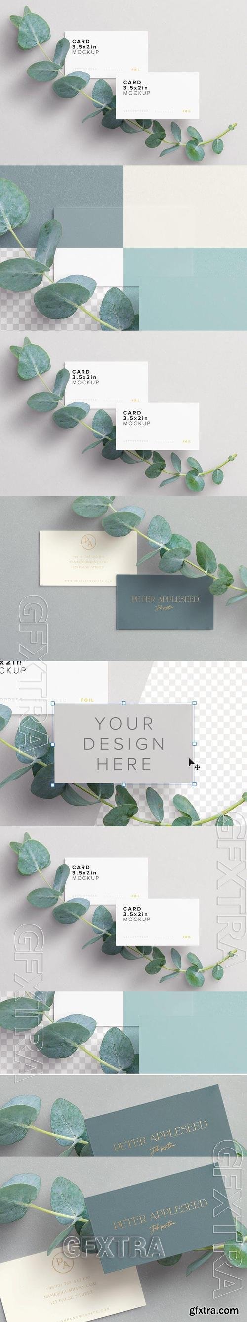 Business Cards with Eucalyptus Branch PR8E3XF