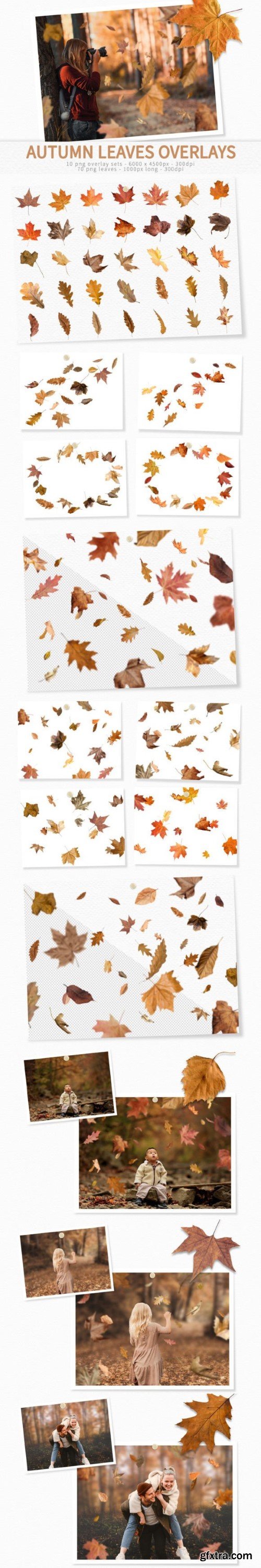 Autumn Leaves Overlays