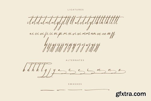 Amfenthari Modern Signature Font TMLLZAE
