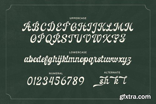 Declaries - A Retro Script Font ZGJLRXC